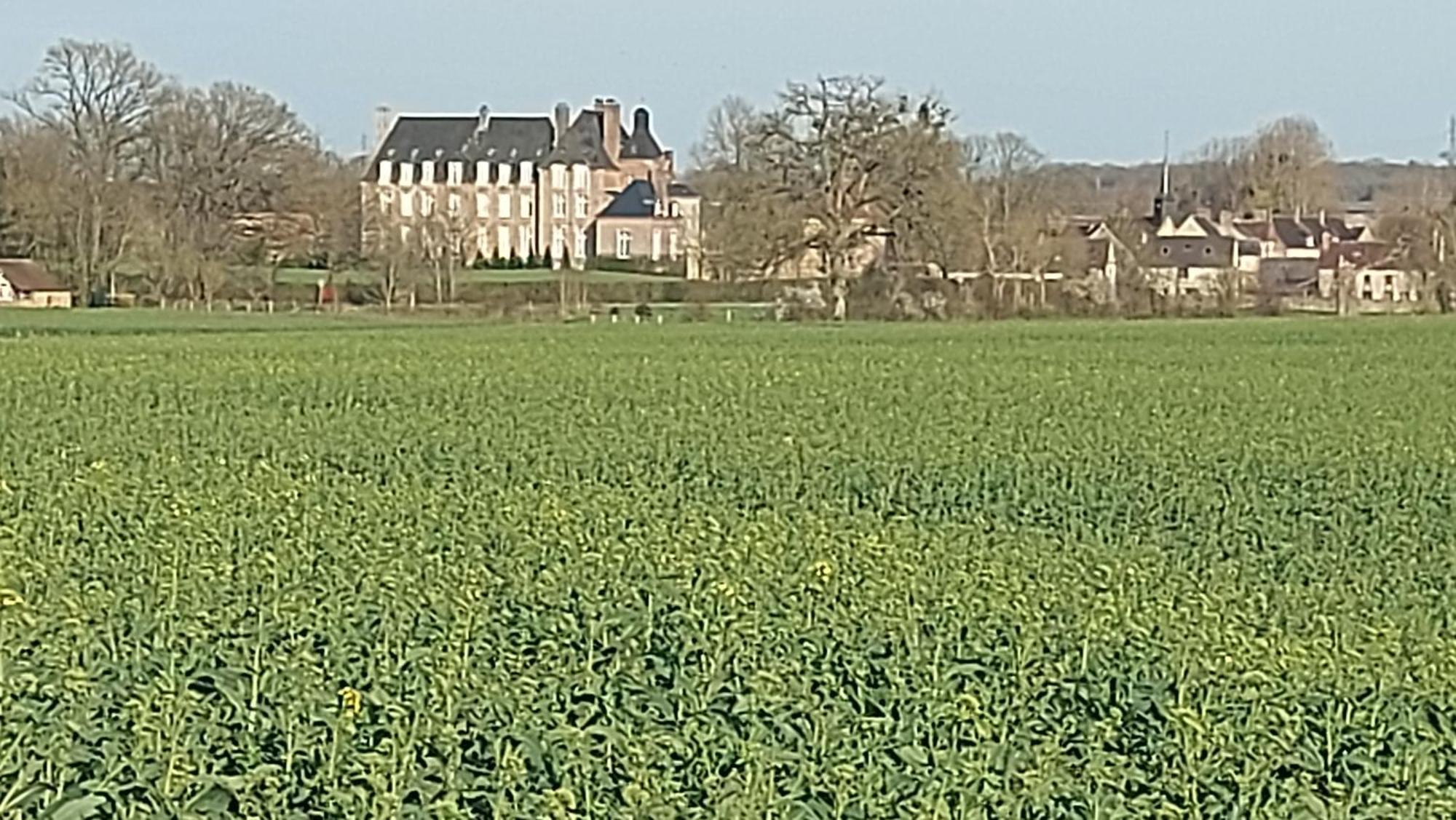 Villa Maella Saint-Michel-Tuboeuf Exterior photo